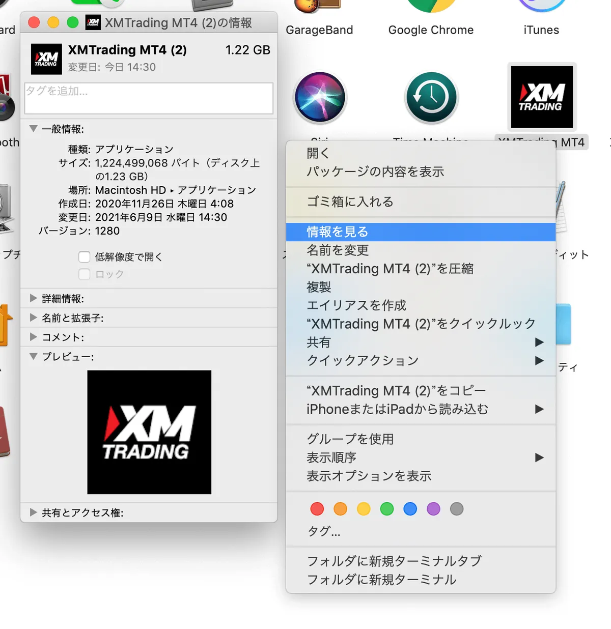 MT4 の情報の画面。サイズは 1.22GB